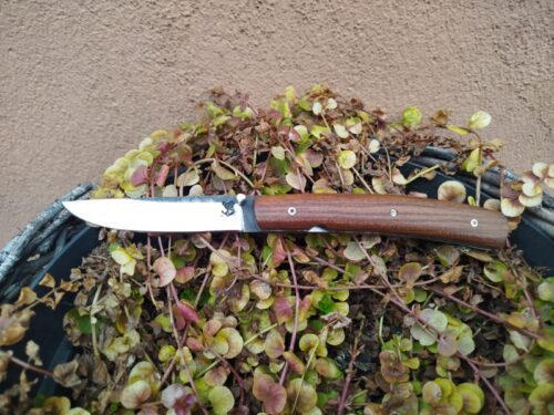 Couteau Pliant en Acier Carbone avec Manche en Noyer