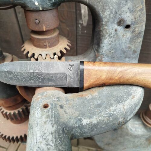 Couteau Droit en Damas avec Manche en Orme et Ébène